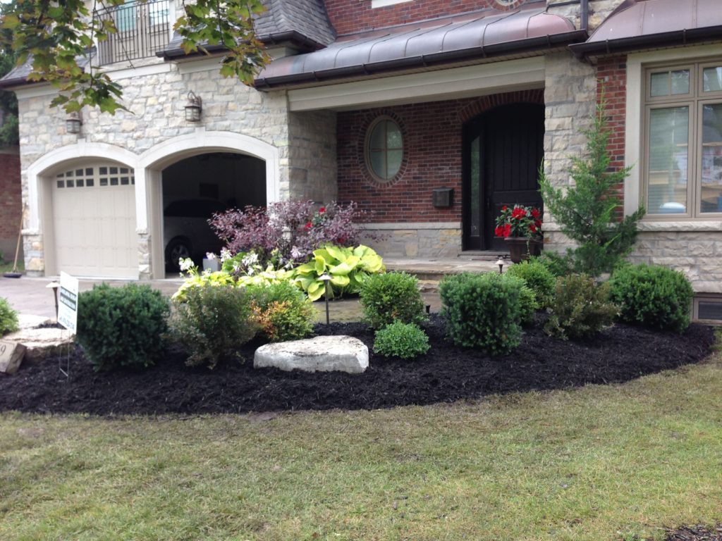 Boulders, Natural Stone, Shrubs, Garden, Plants, Flower