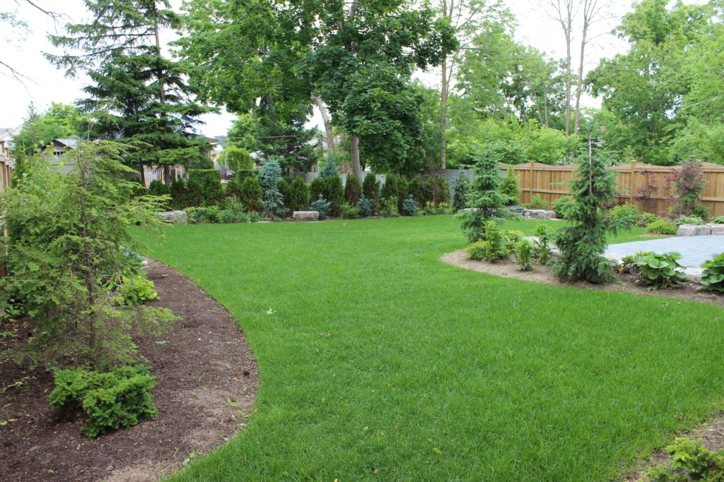 Garden, Trees, Shrubs, Hedges, Sodding, backyard landscaping